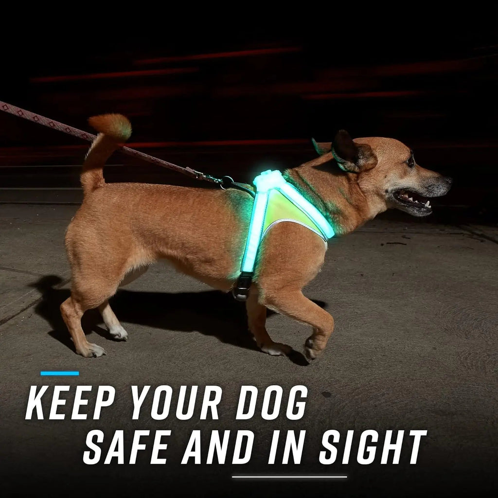 Lighthound LED Light-Up Dog Harness – USB Rechargeable Reflective Adjustable Safety Vest