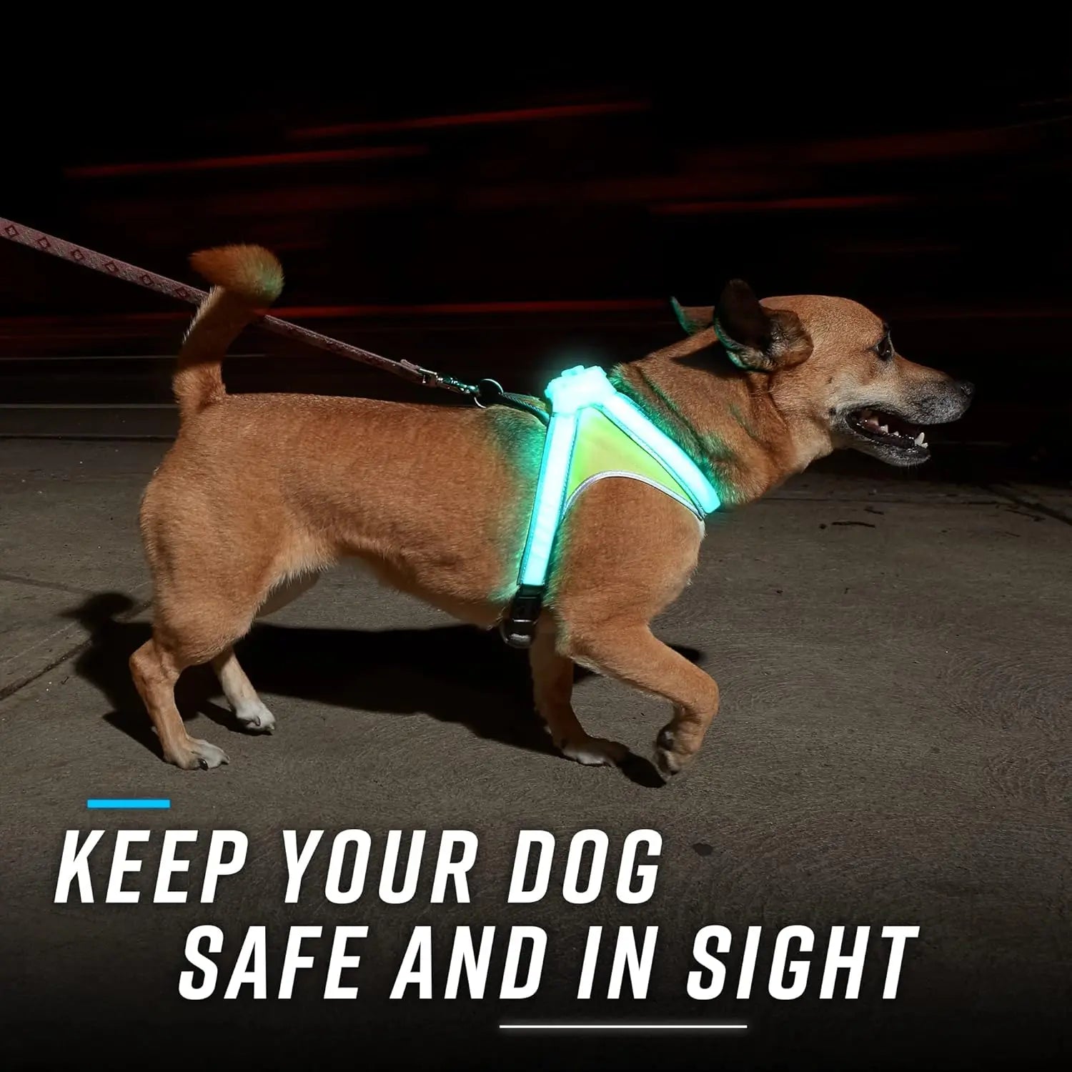 Lighthound LED Light-Up Dog Harness – USB Rechargeable Reflective Adjustable Safety Vest