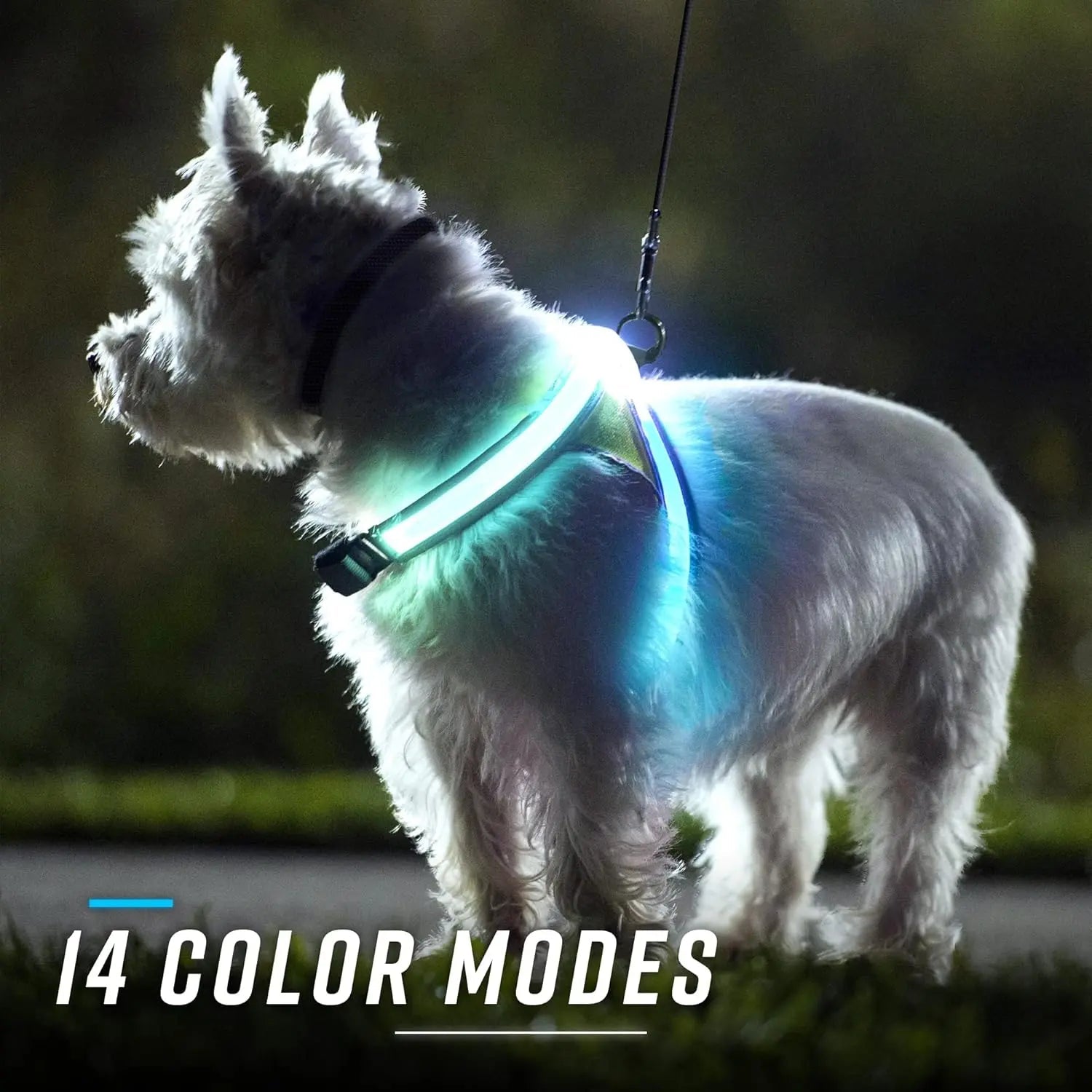 Lighthound LED Light-Up Dog Harness – USB Rechargeable Reflective Adjustable Safety Vest