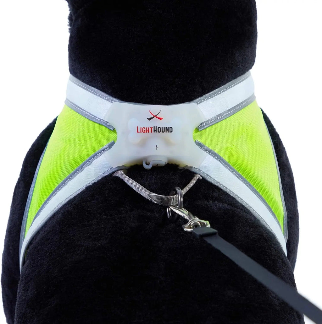 Lighthound LED Light-Up Dog Harness – USB Rechargeable Reflective Adjustable Safety Vest