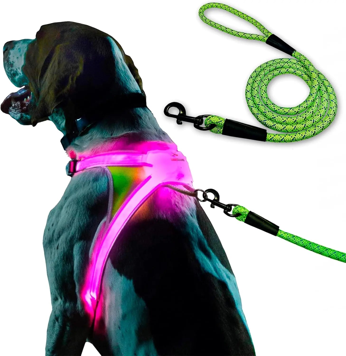 Lighthound LED Light-Up Dog Harness – USB Rechargeable Reflective Adjustable Safety Vest
