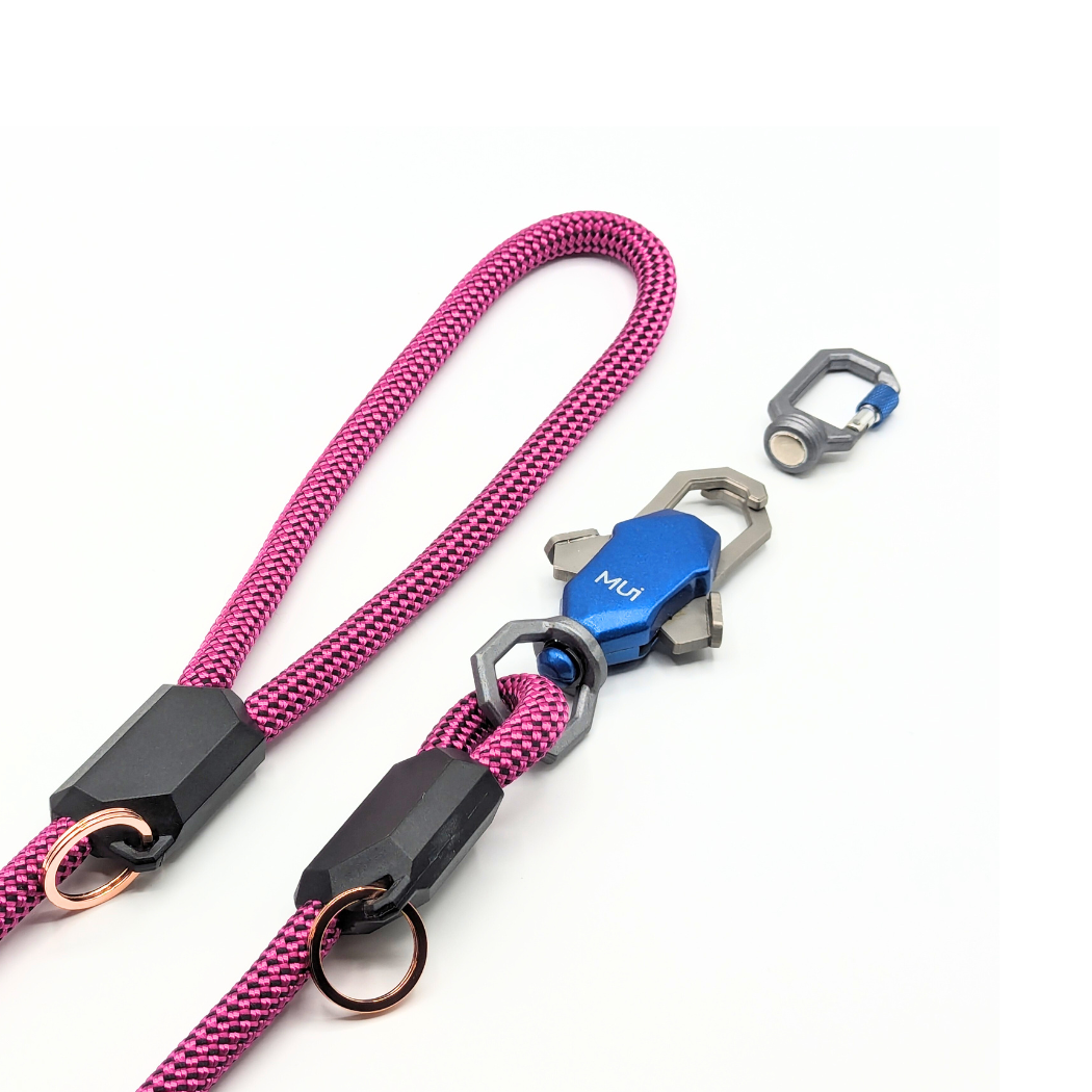 Up Dog Shop Magnetic Dog Leash – Patented One-Hand Connect & Release
