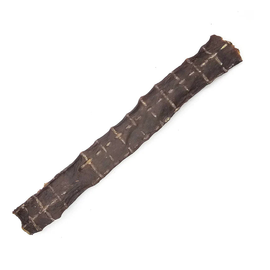 The Natural Dog Company - Ostrich Flattie Stick - 1 Count
