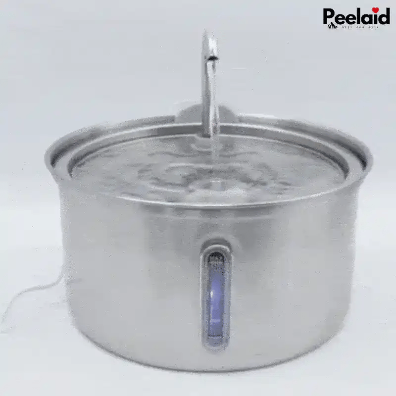 Peelaid™ SST Fountain WD