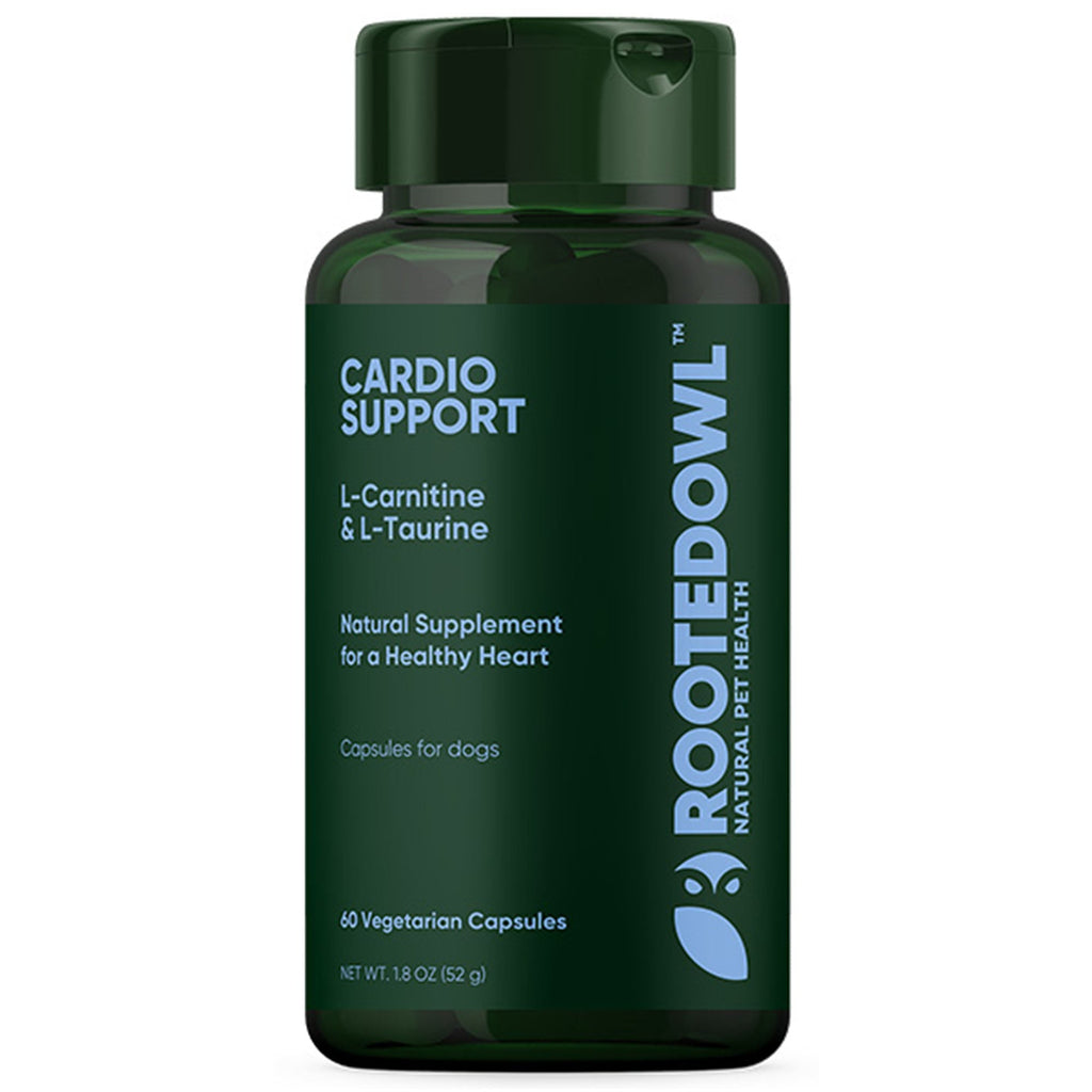 Cardio Support