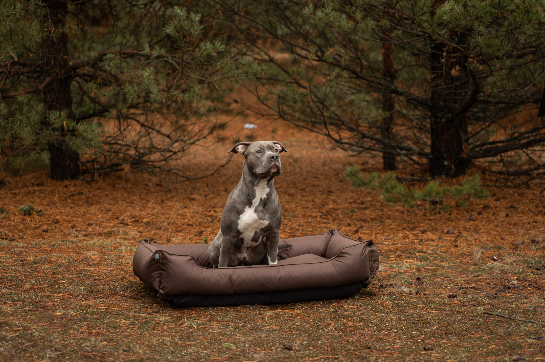 Chester & Lee | Waterproof Sleeper Dog Bed Brown