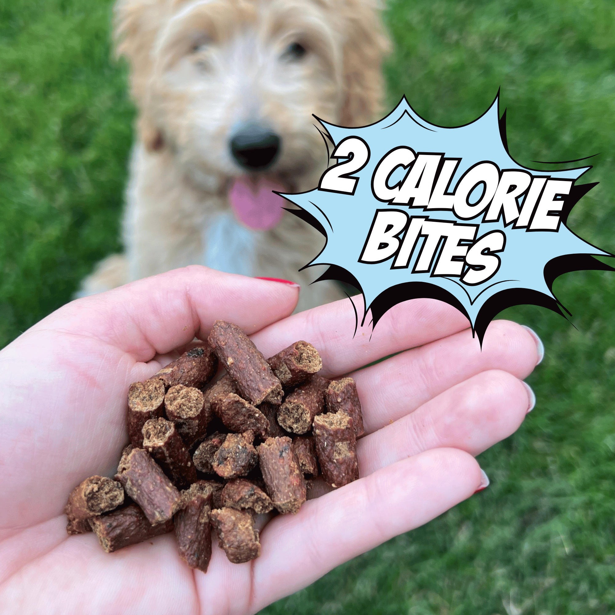 Fish & Sweet Potato Training Bites, 4-Pack