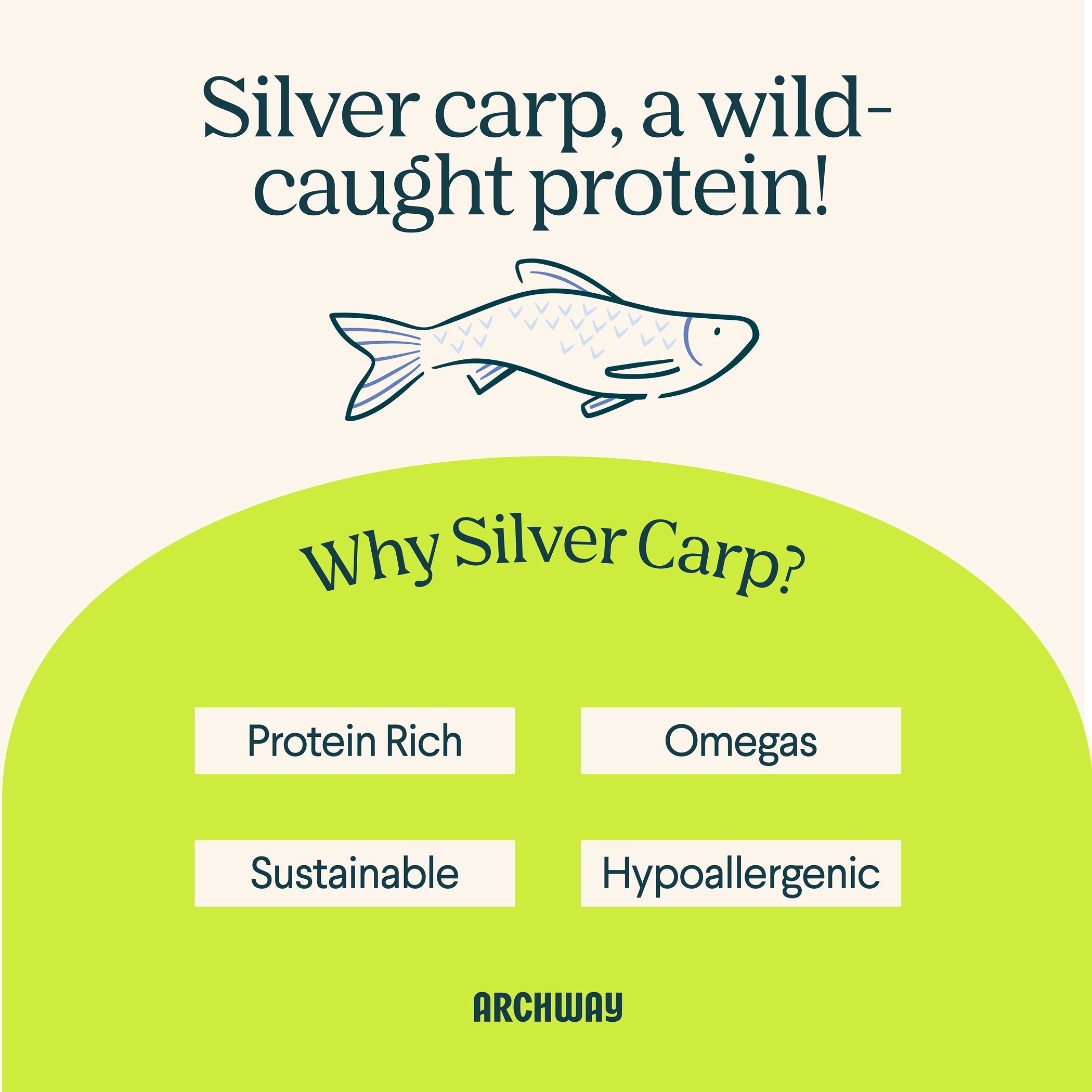 Silver Carp and Sweet Potato Biscuit