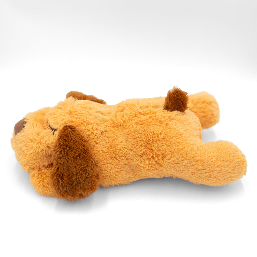 Zen Pup w/Anxiety Reducing Heartbeat