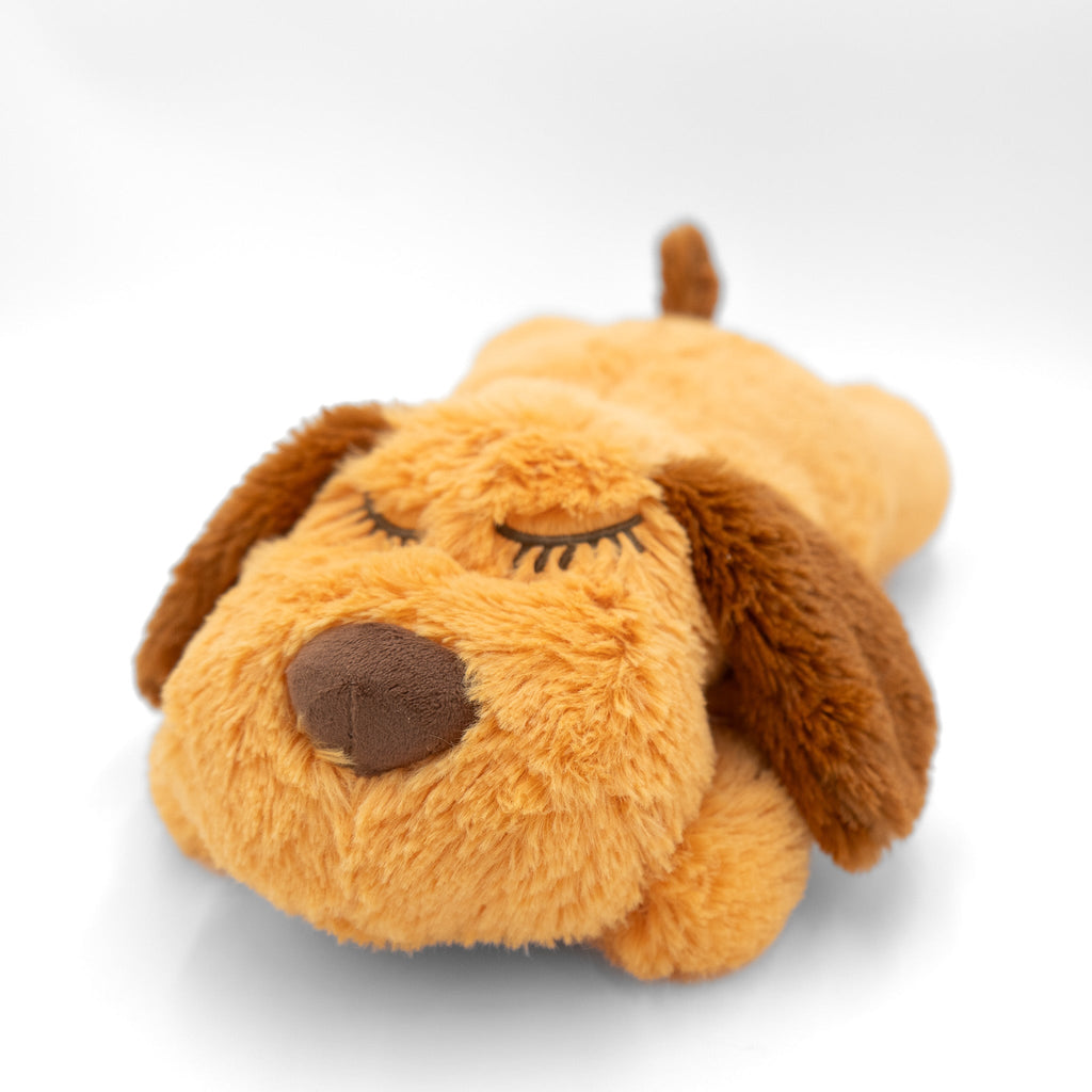 Zen Pup w/Anxiety Reducing Heartbeat