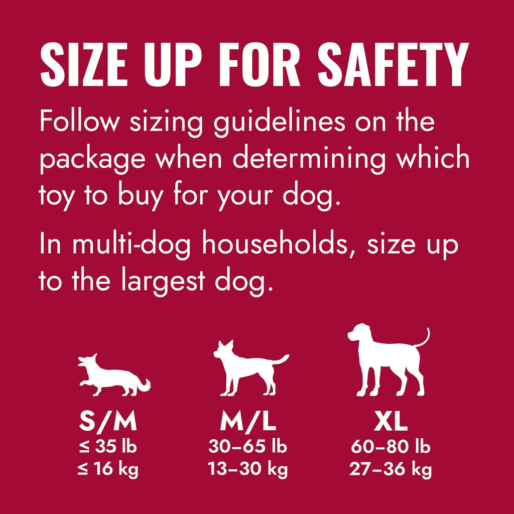 ® Ring Dog Toy, Medium/Large