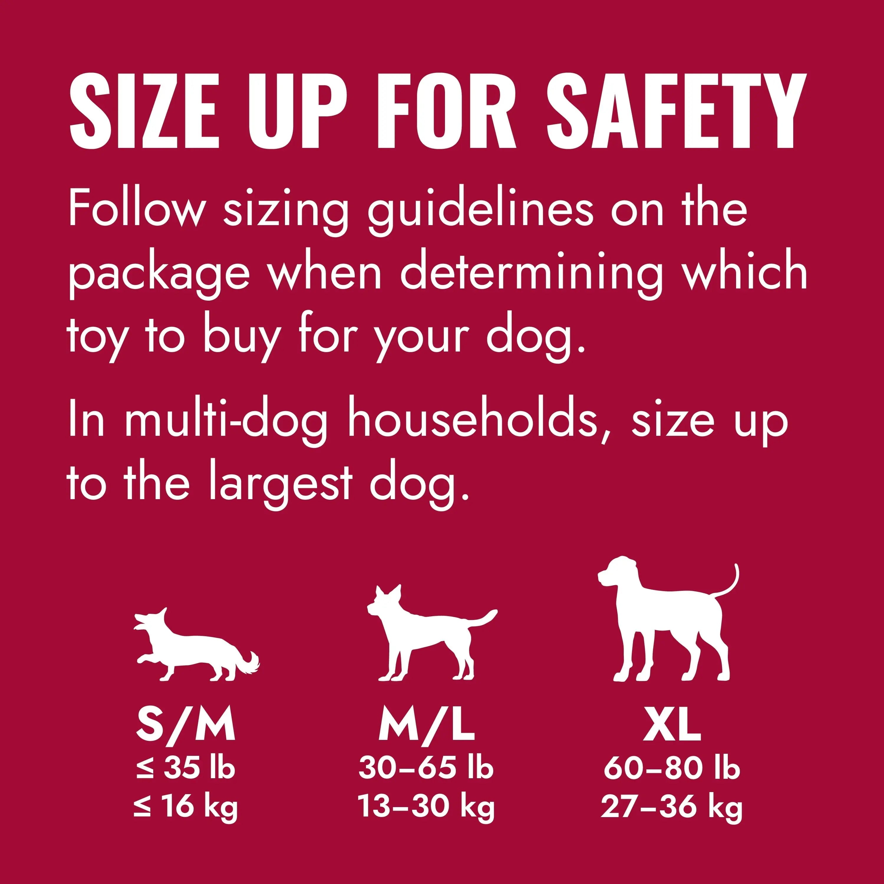 ® Ring Dog Toy, Medium/Large