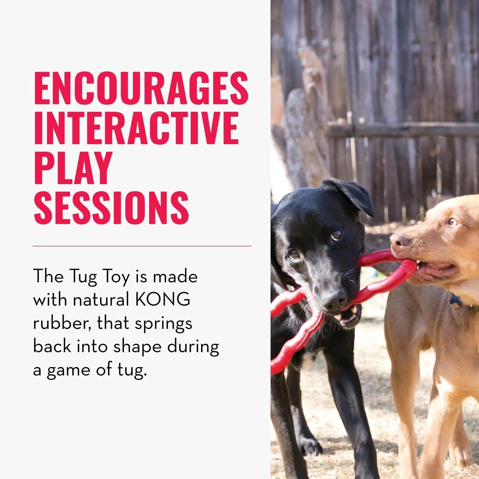 KONG - Tug - Durable Stretchy Rubber, Tug of War Dog Toy - for Medium Dogs