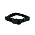 Martingale Dog Collar