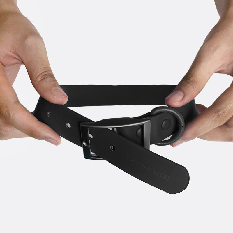 Everyday Collar