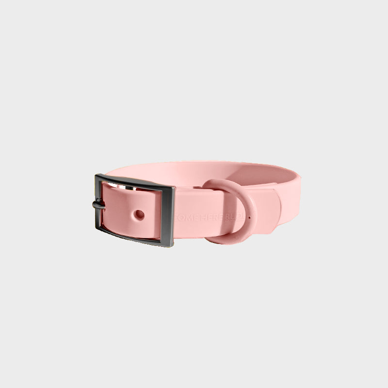 Everyday Collar