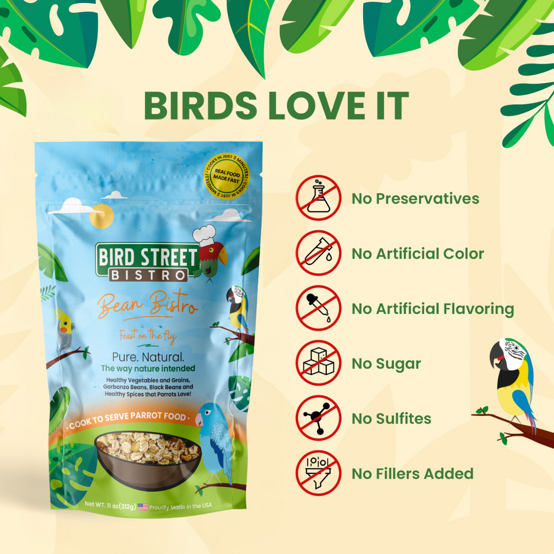 Bean Bistro Feast on the Fly