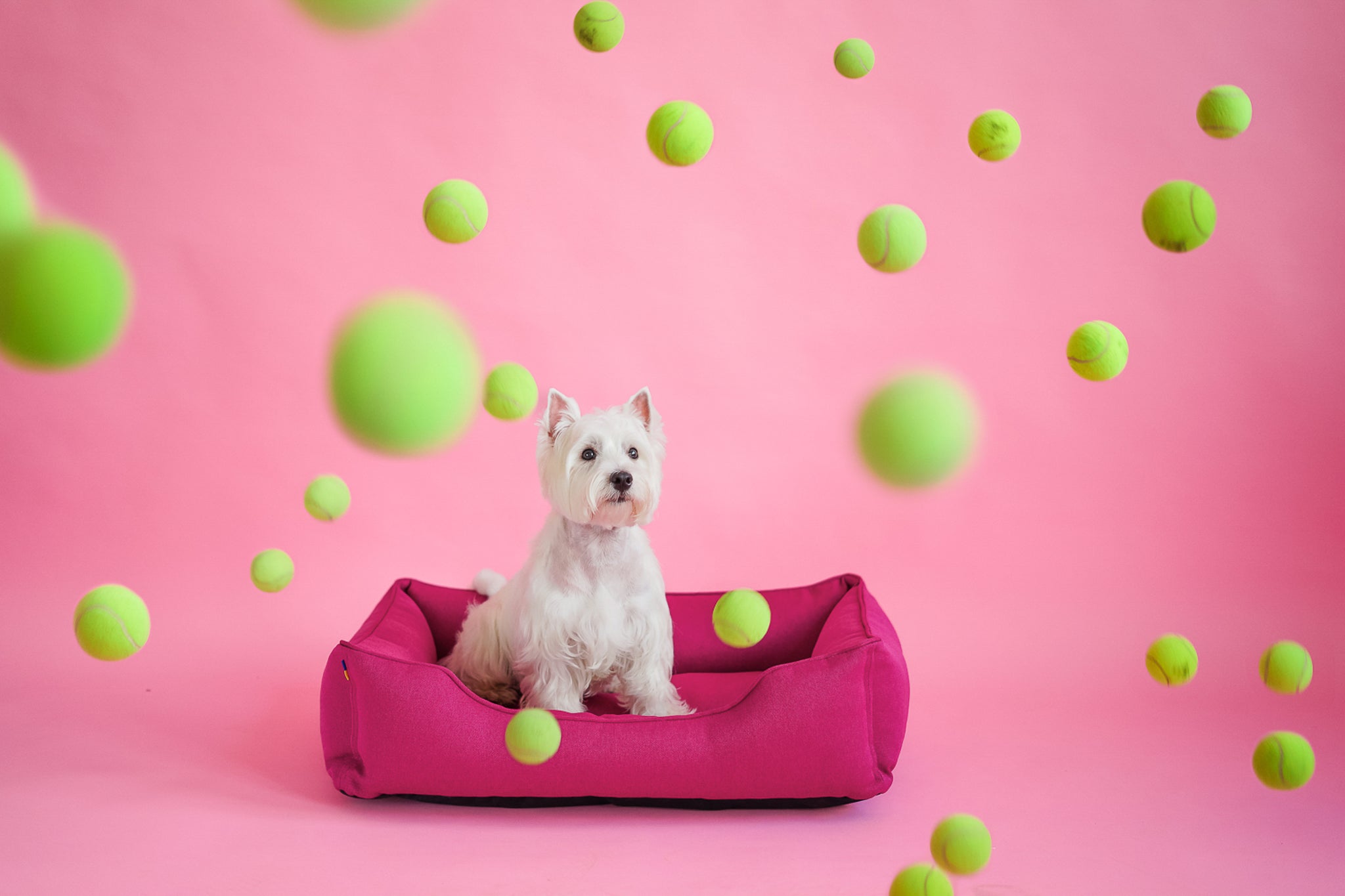 Chester & Lee | Cotton Sleeper Dog Bed Berry Pink