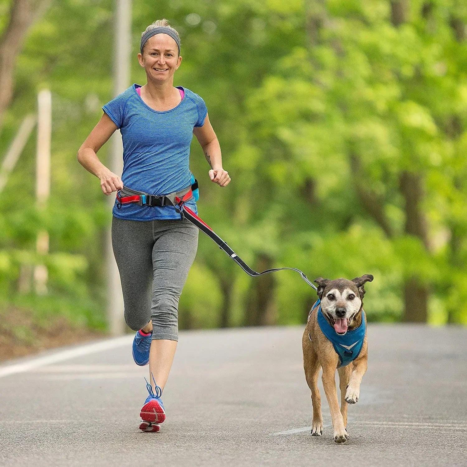 Springback Leash for Dogs, 30 Inch Blue/Grey, Padded Handle, Bungee Eases Pulling