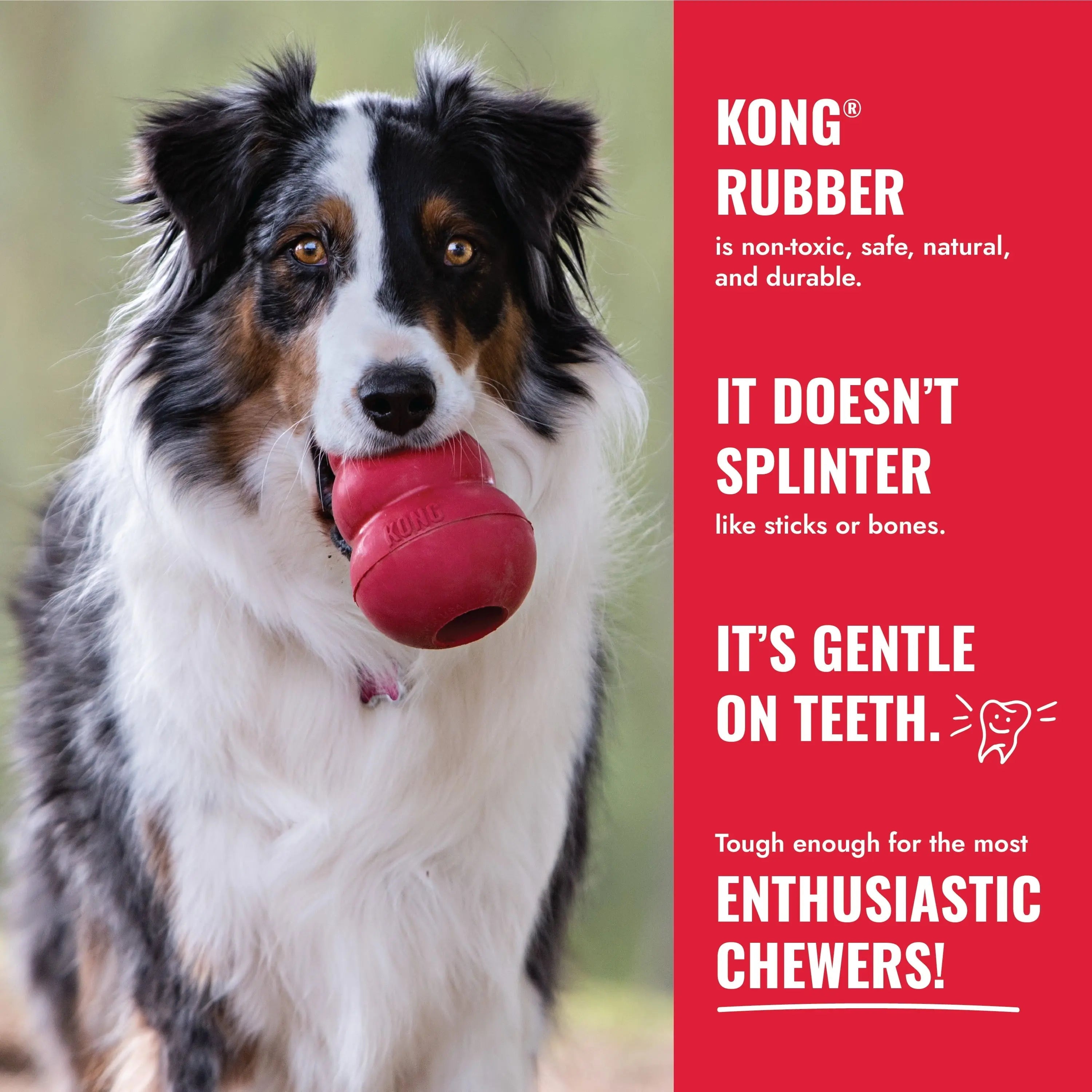 ® Classic Stuffable Dog Chew Toy, Large