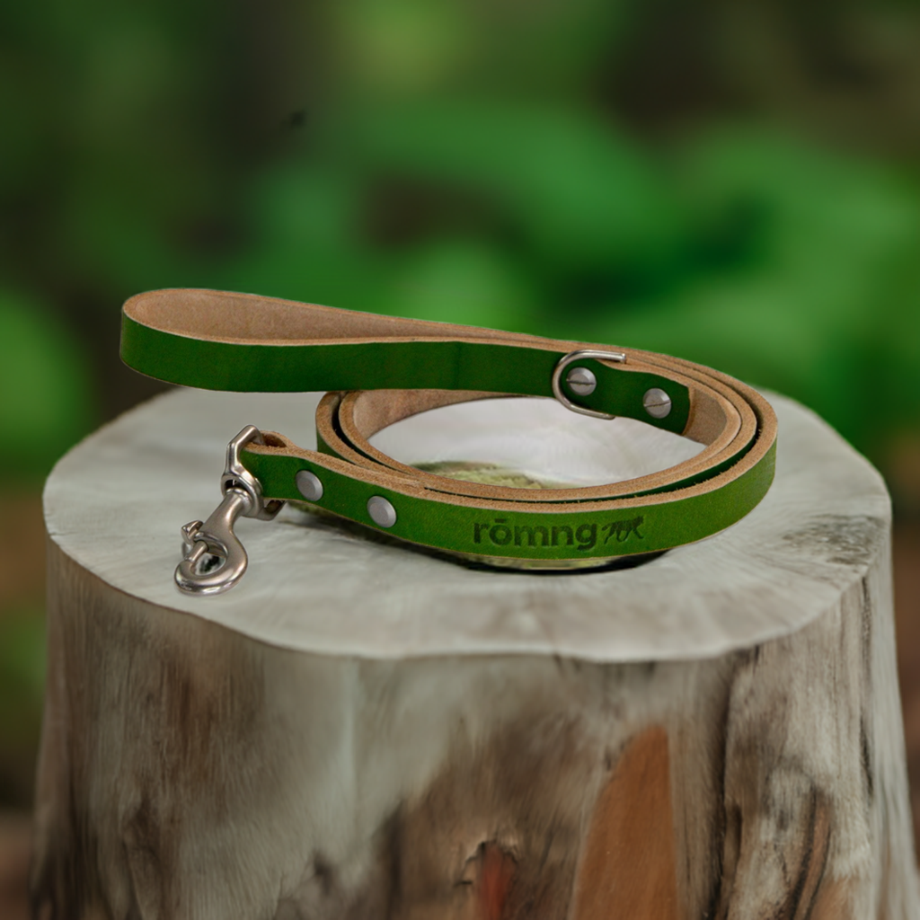 Handmade leather dog leash