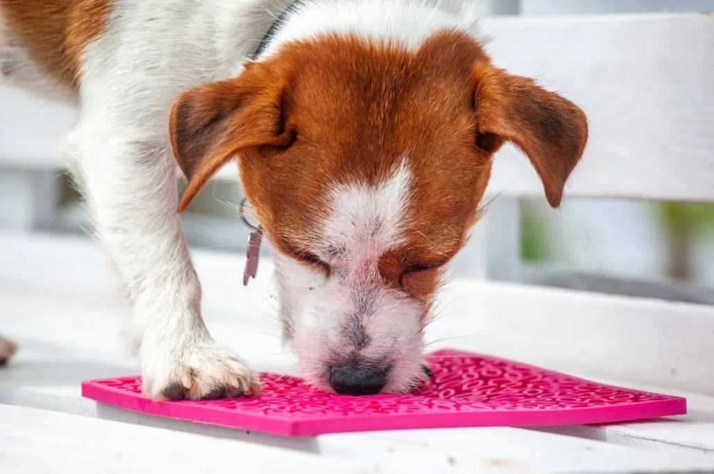 Flower Power emat - Enrichment Lick Mat for Dogs | Flower Design | USA Made