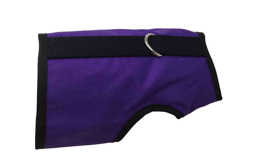 Kitty Holster Cat Harness (Made in USA)