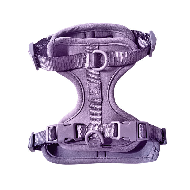 Harness