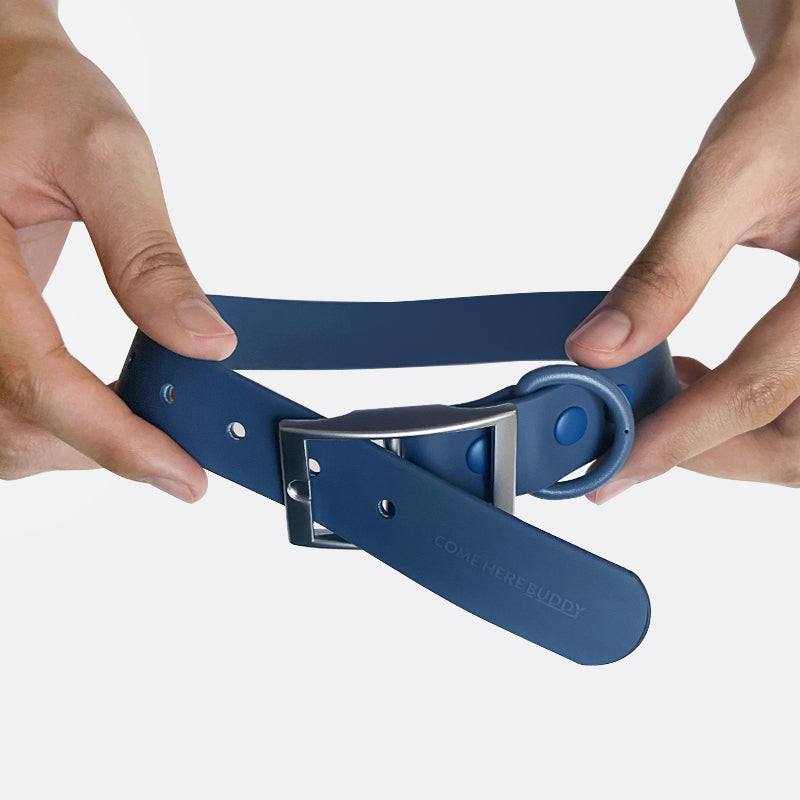 Everyday Collar