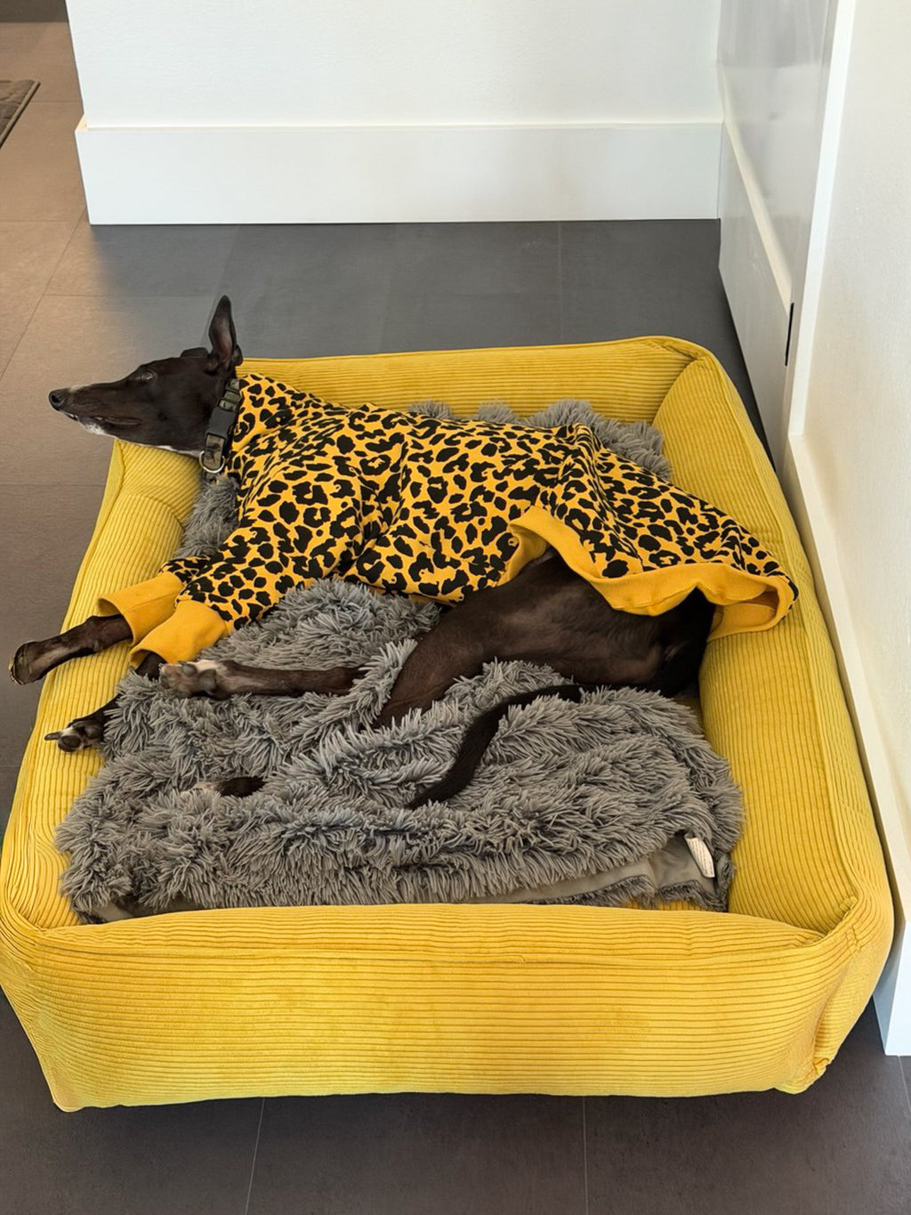 Chester & Lee | Fancy Corduroy Sleeper Dog Bed Sunny Yellow