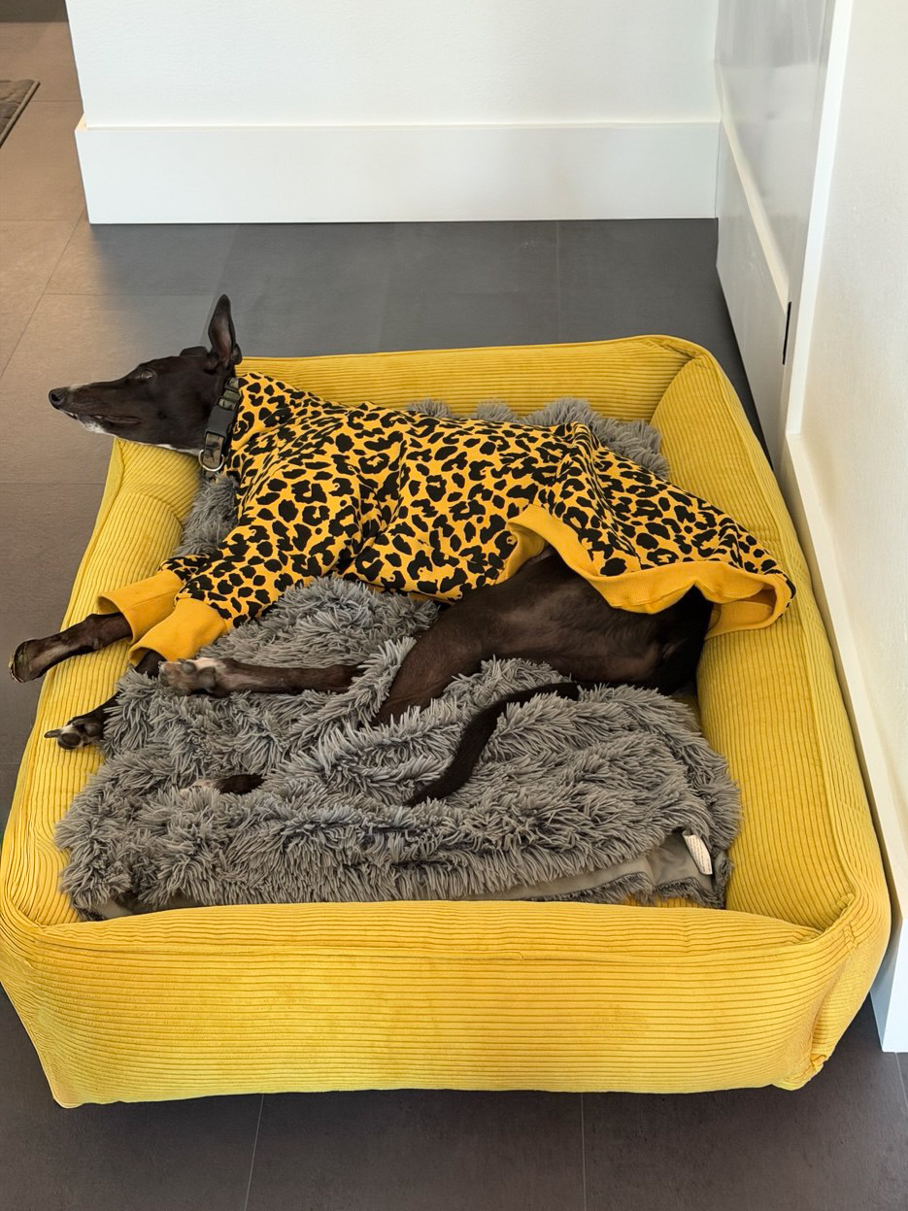 Chester & Lee | Fancy Corduroy Sleeper Dog Bed Sunny Yellow