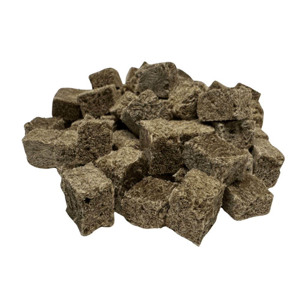 Premium Freeze Dried Blackworms - Power Boost