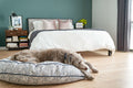Round Pet Bed in Sapphire Spaniel