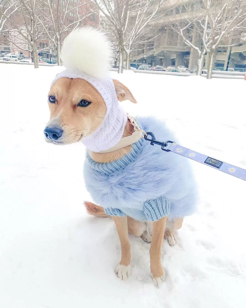 Haute Couture Feathered Luxury Pet Sweater