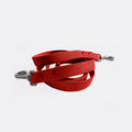 Leash