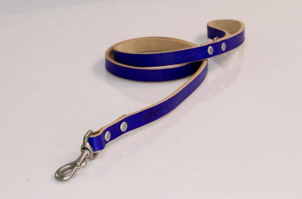 Handmade leather dog leash