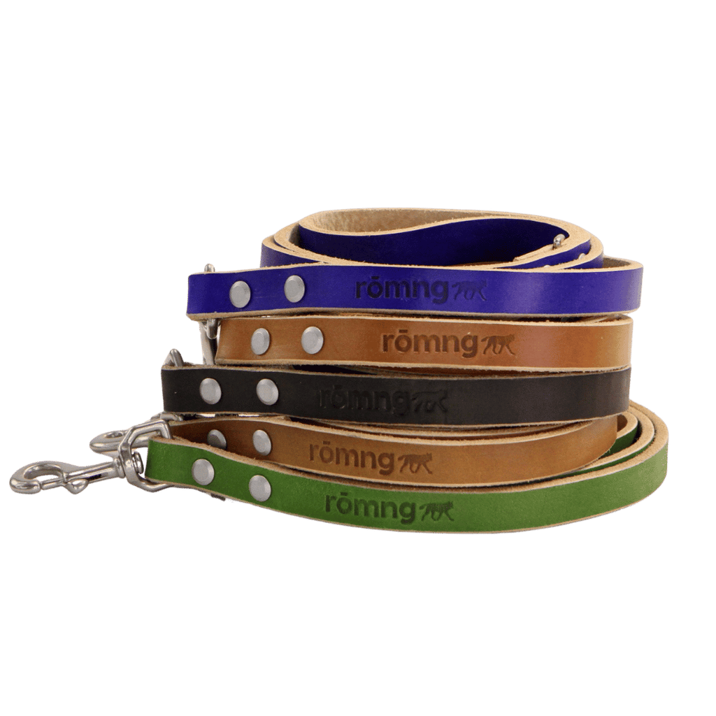 Handmade leather dog leash