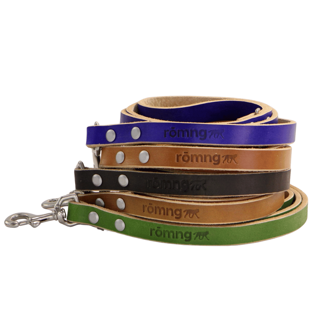 Handmade leather dog leash
