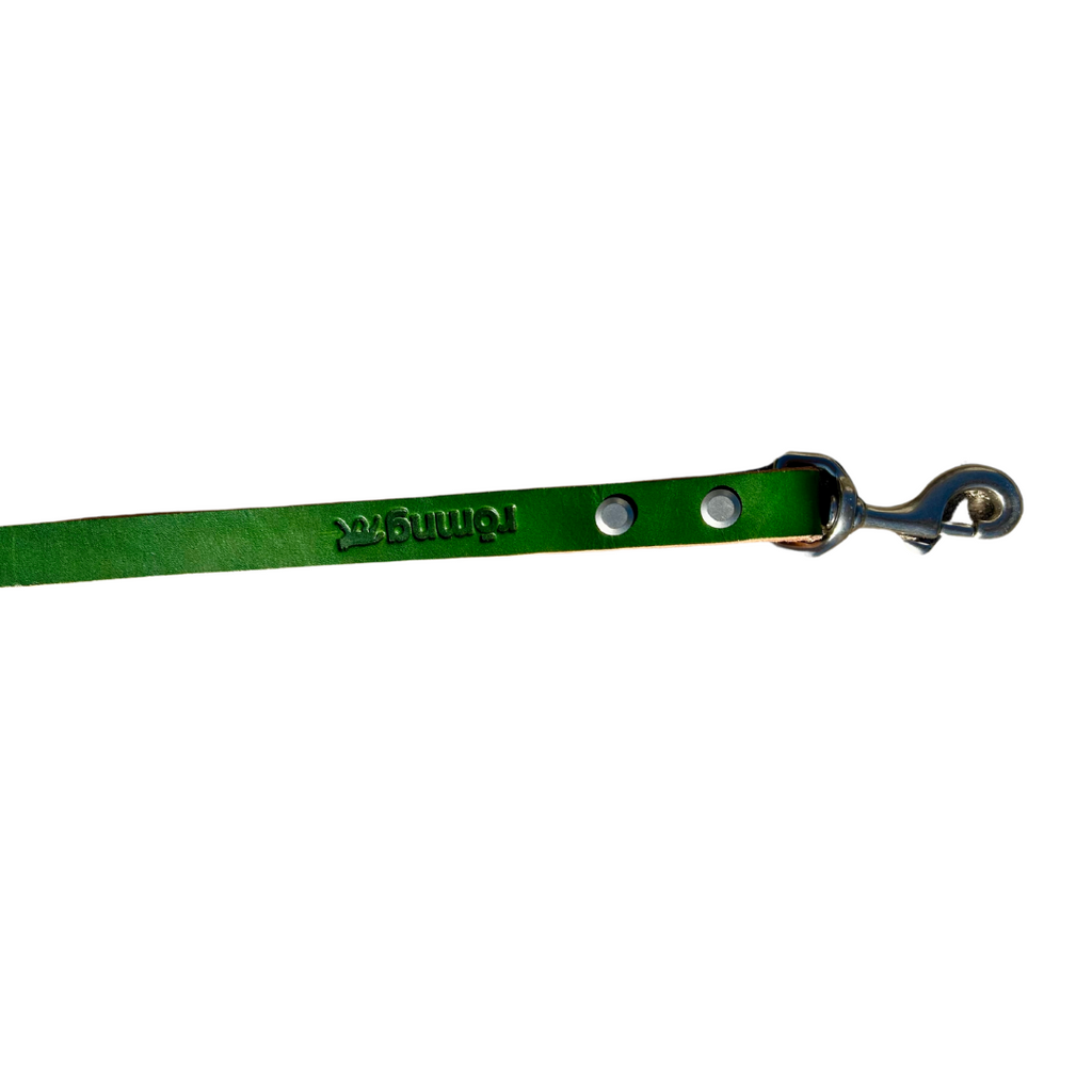 Handmade leather dog leash