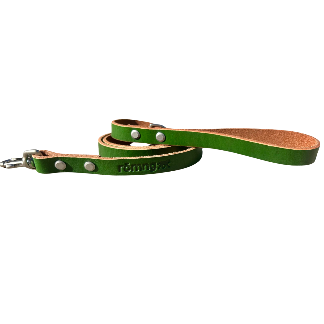 Handmade leather dog leash