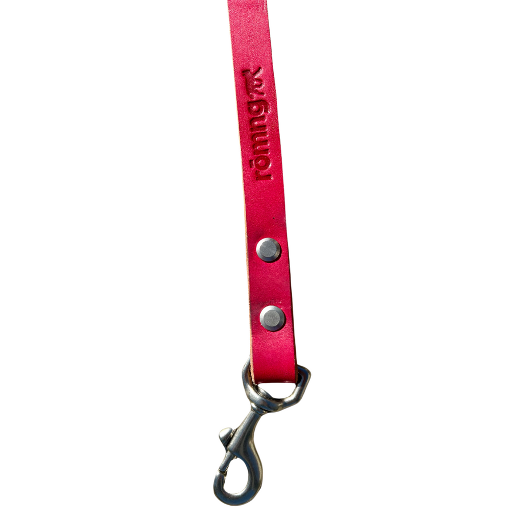 Handmade leather dog leash