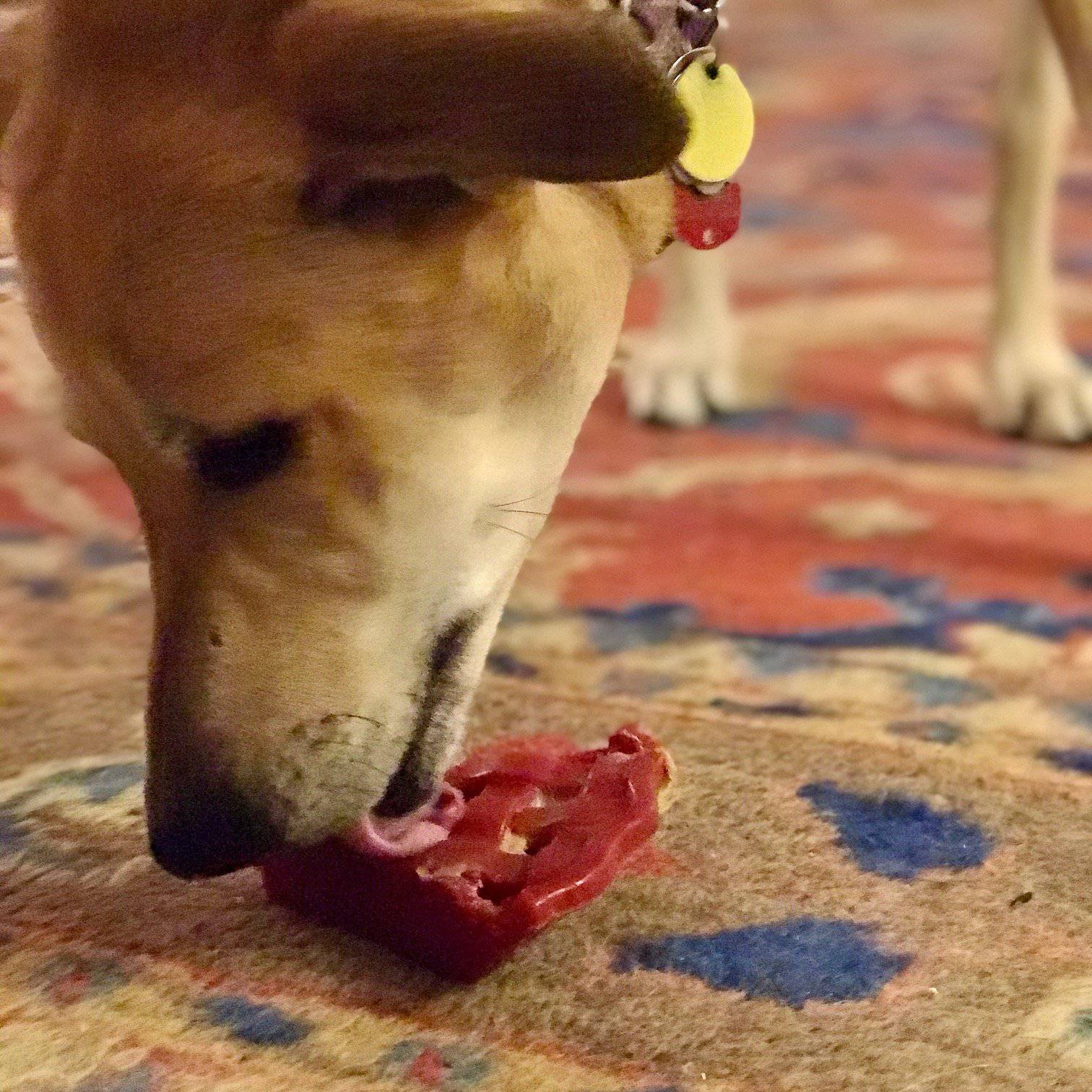 Cherry Pie Nylon Dog Chew Toy for Aggressive Chewers | USA Made | SodaPup
