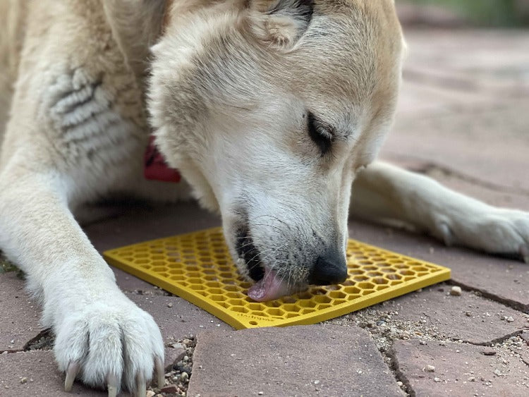 Honeycomb eMat - Enrichment Lick Mat for Dogs | eMat Enrichment Toy for Anxiety Relief | SodaPup