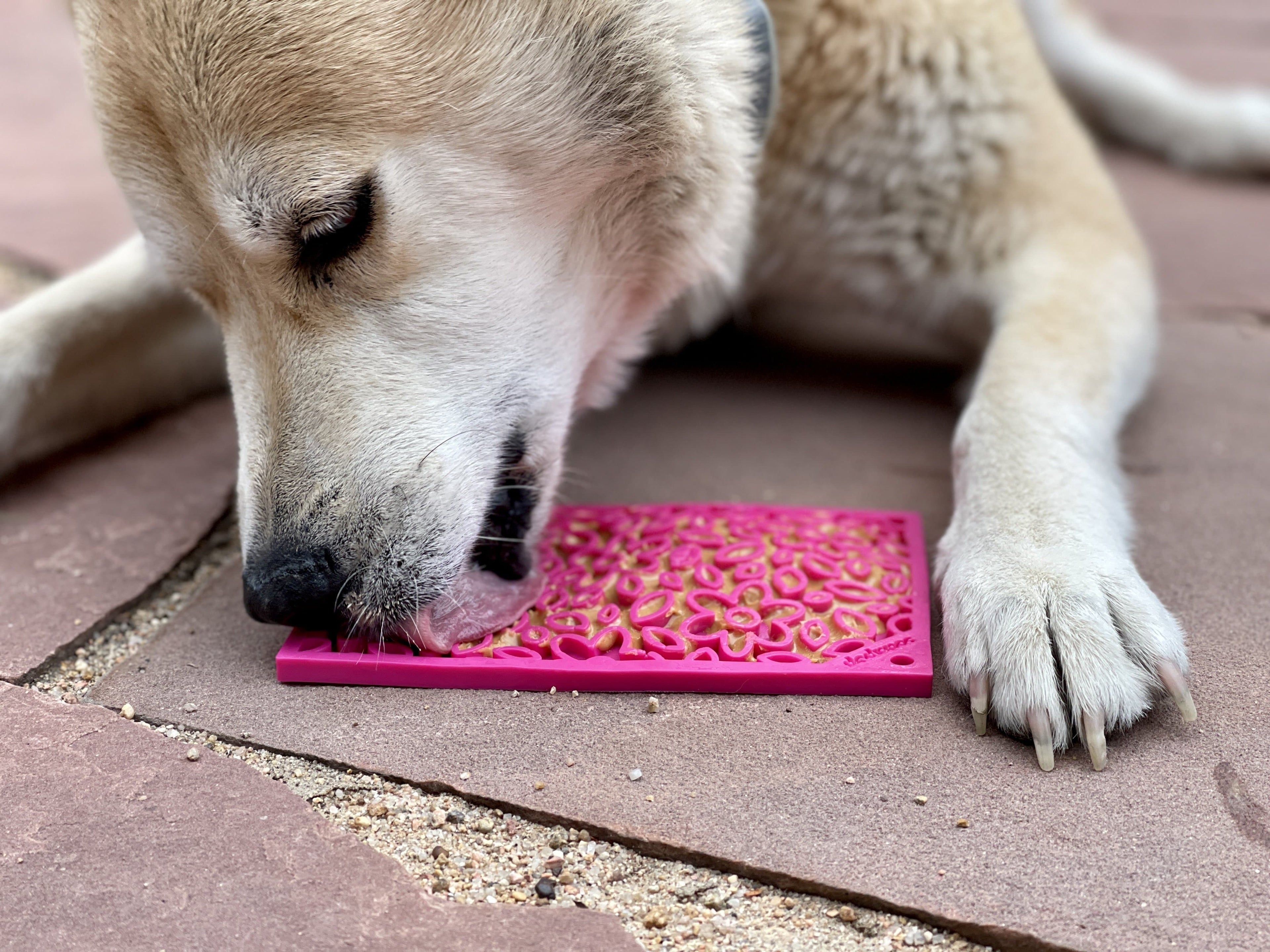 Flower Power emat - Enrichment Lick Mat for Dogs | Flower Design | USA Made