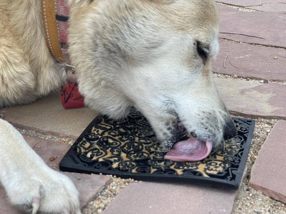 Zombie eMat - Enrichment Lick Mat for Dogs | Halloween Skull Design | SodaPup
