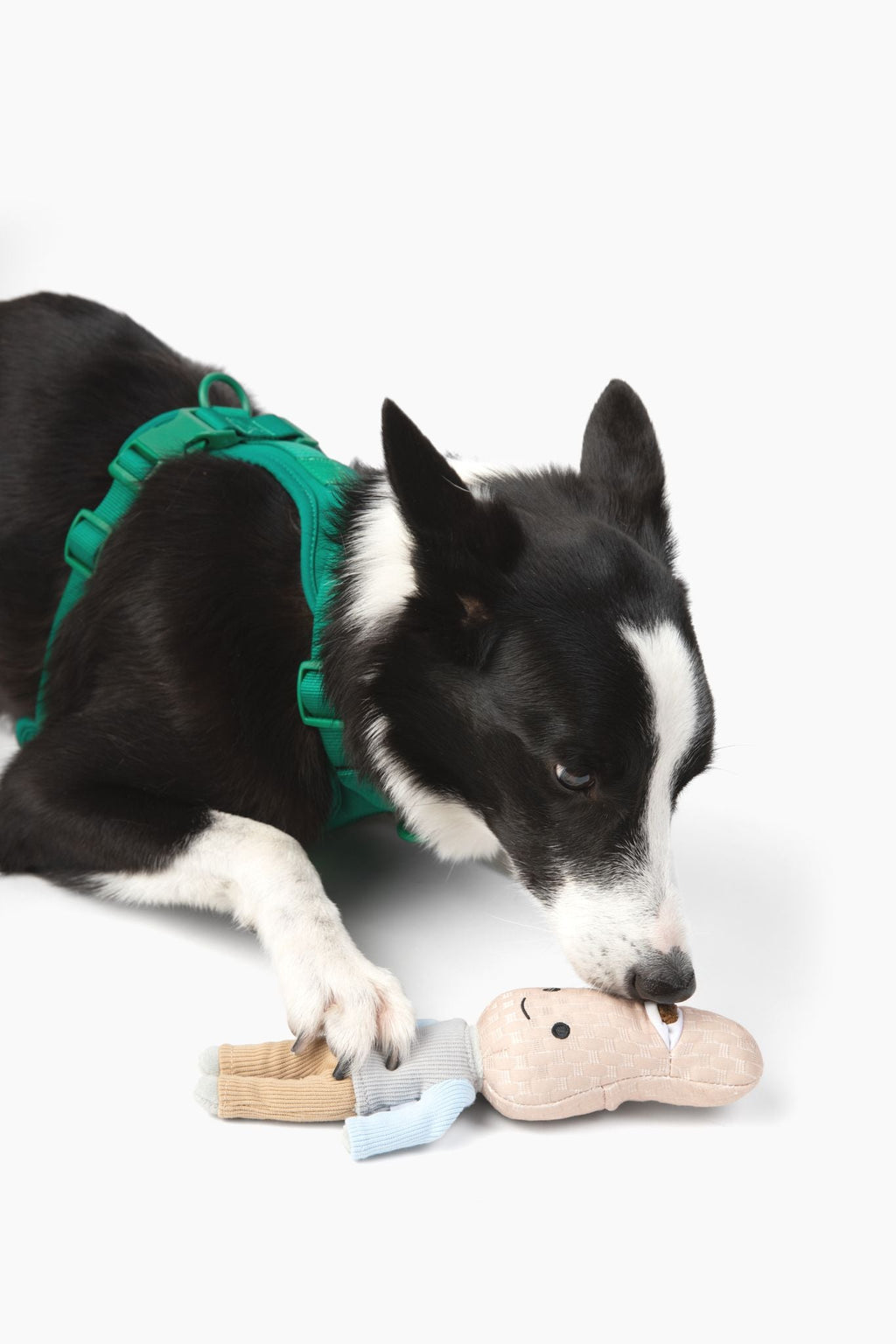 Peanut Nose Work Dog Toy